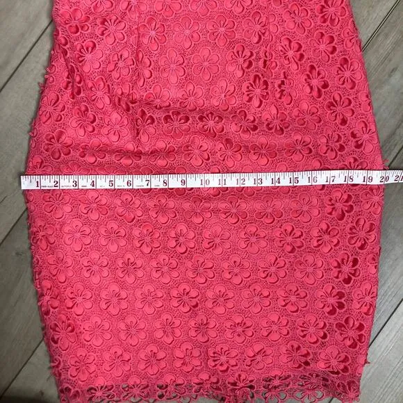 Adrianna Papell Pink Floral Lace Sheath Dress Size 12