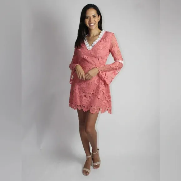 Alexia Admore Pink Contrast Crochet Lace Fit &amp; Flare Mini Dress Size XS