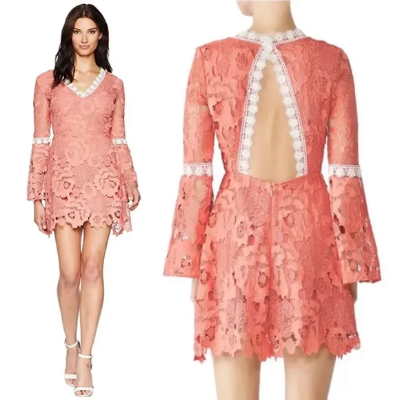 Alexia Admore Pink Contrast Crochet Lace Fit &amp; Flare Mini Dress Size XS