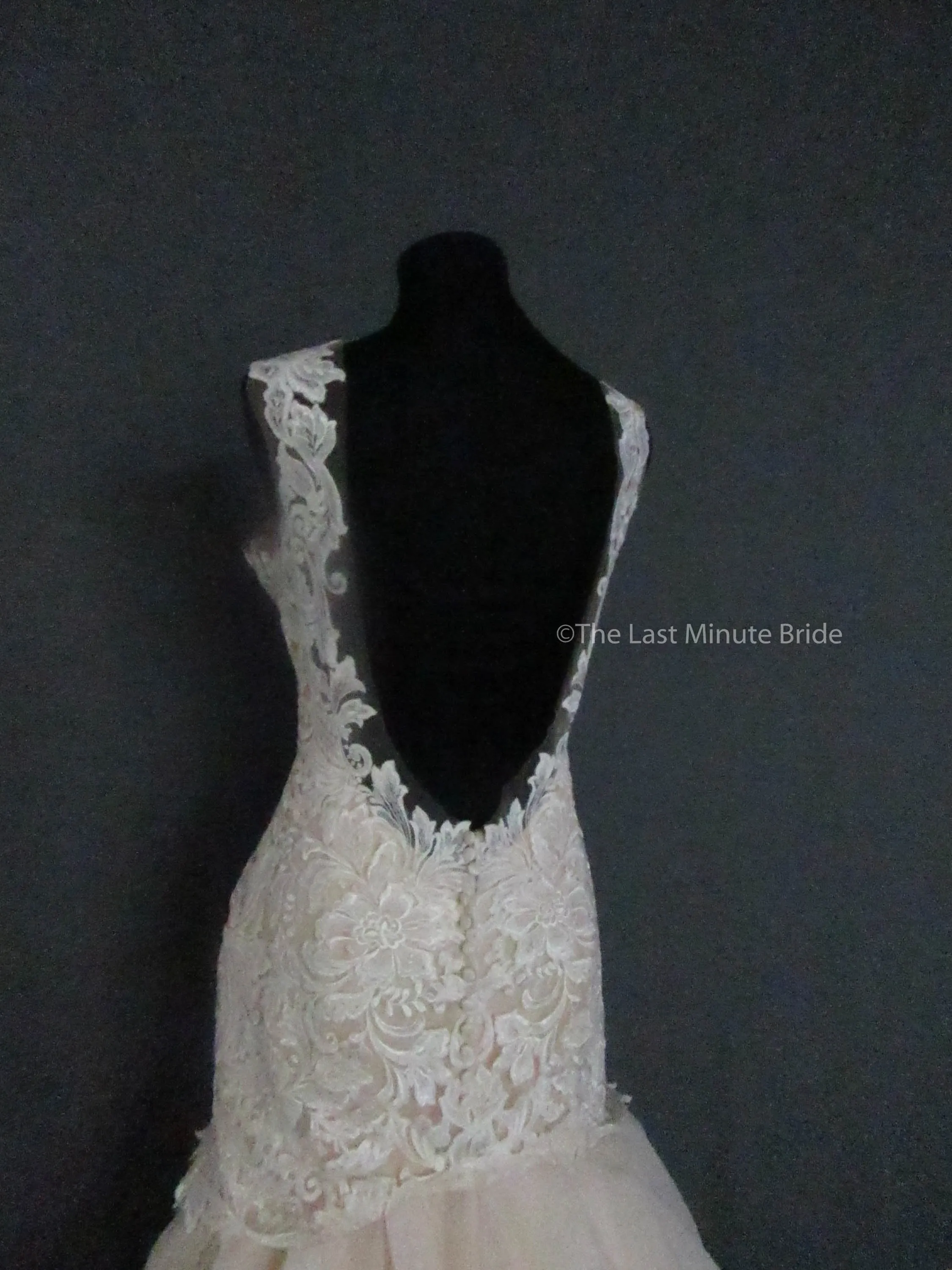 Allure Bridals L422