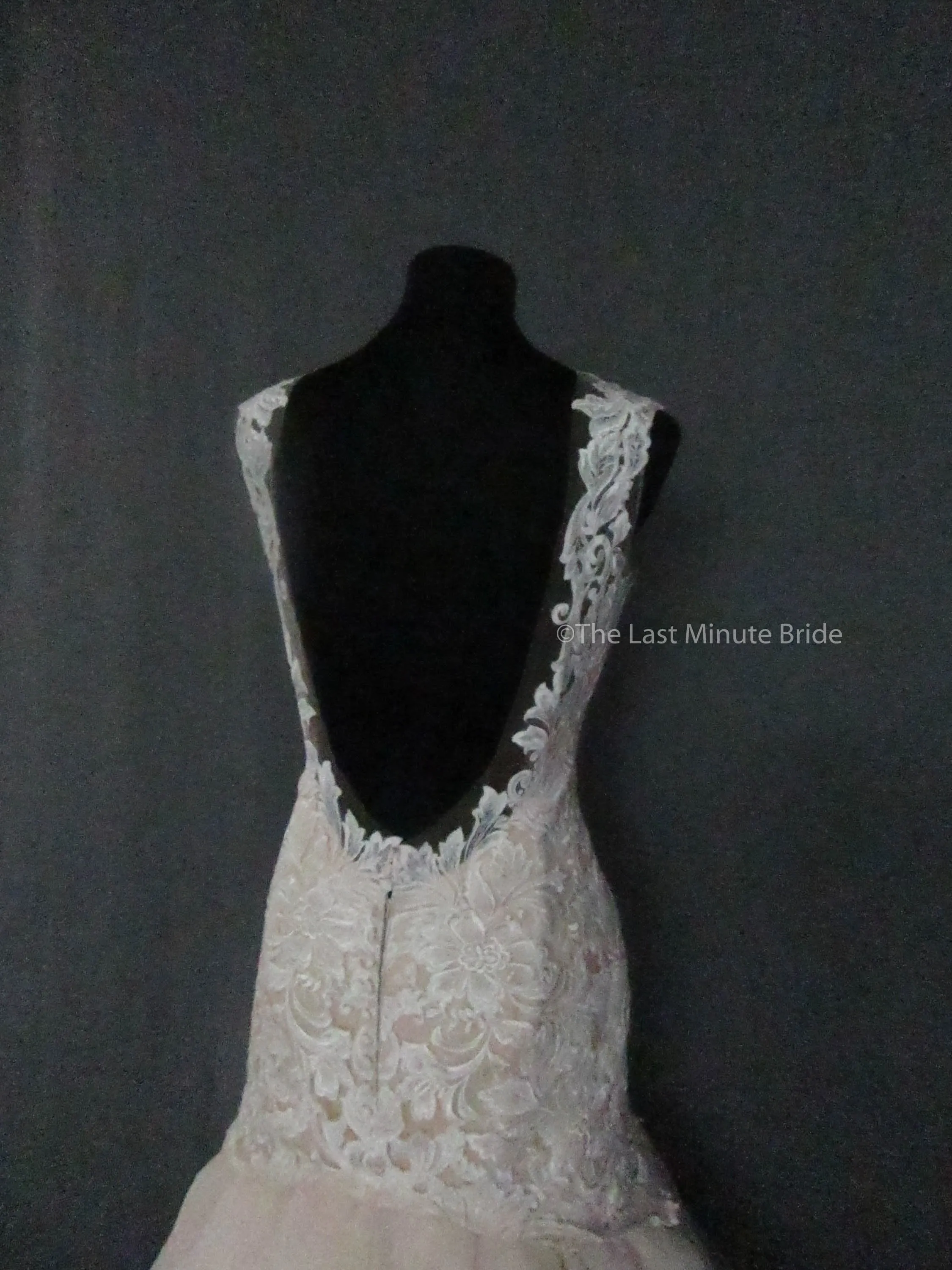 Allure Bridals L422