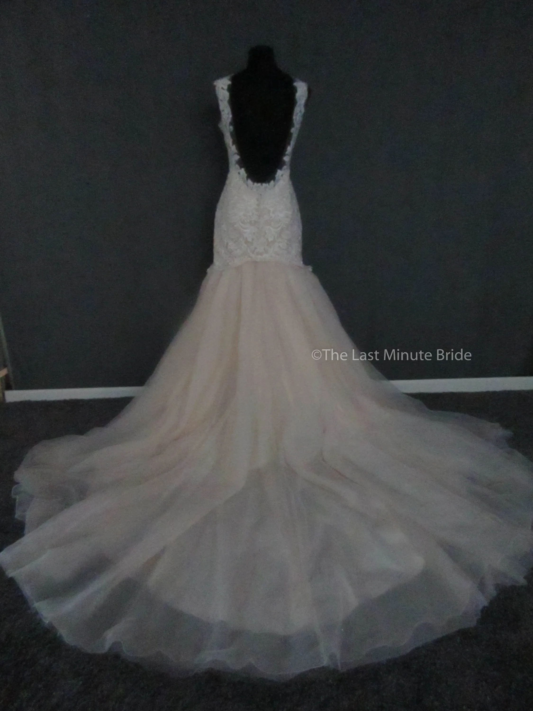 Allure Bridals L422
