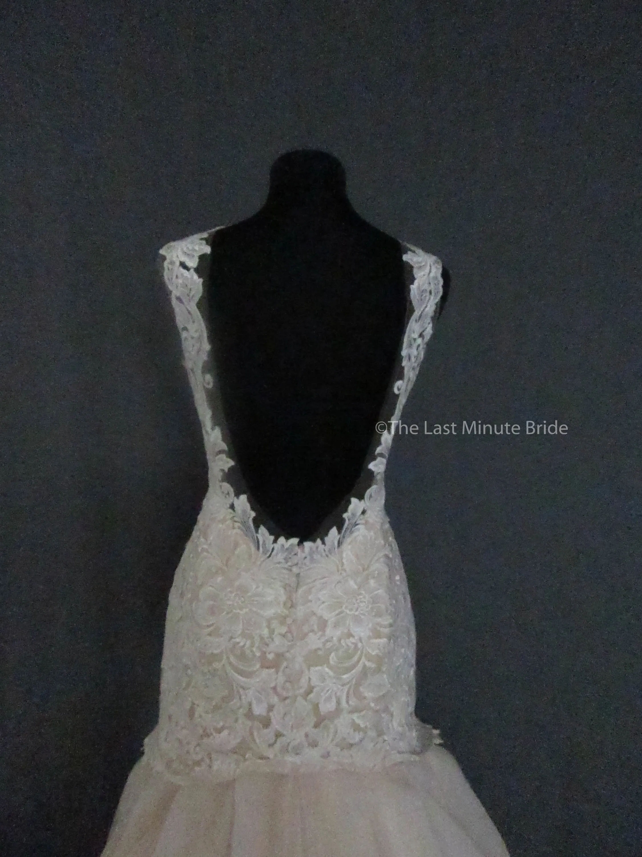 Allure Bridals L422
