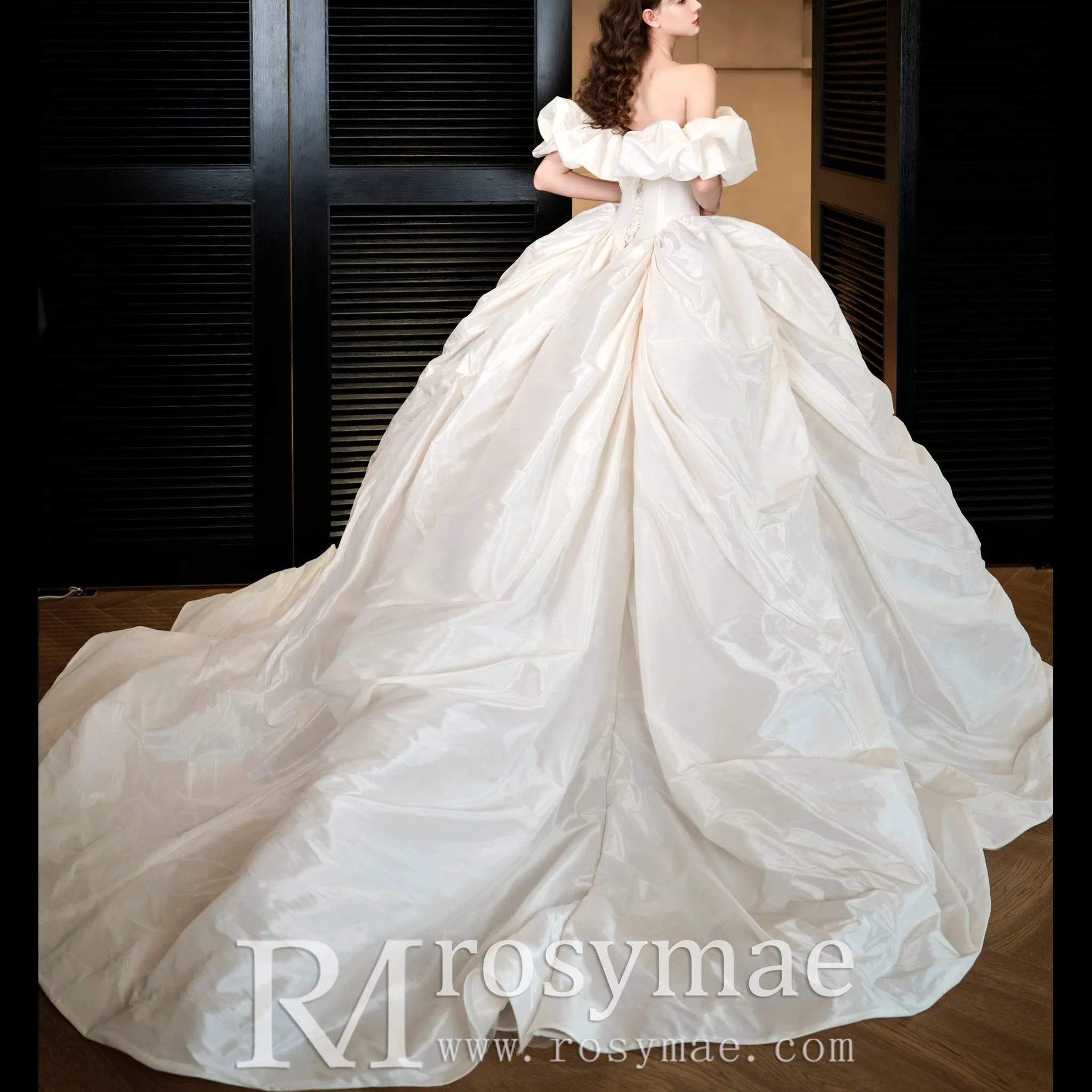 Ball Gown Boho Wedding Dresses & Gowns Bohemian Style