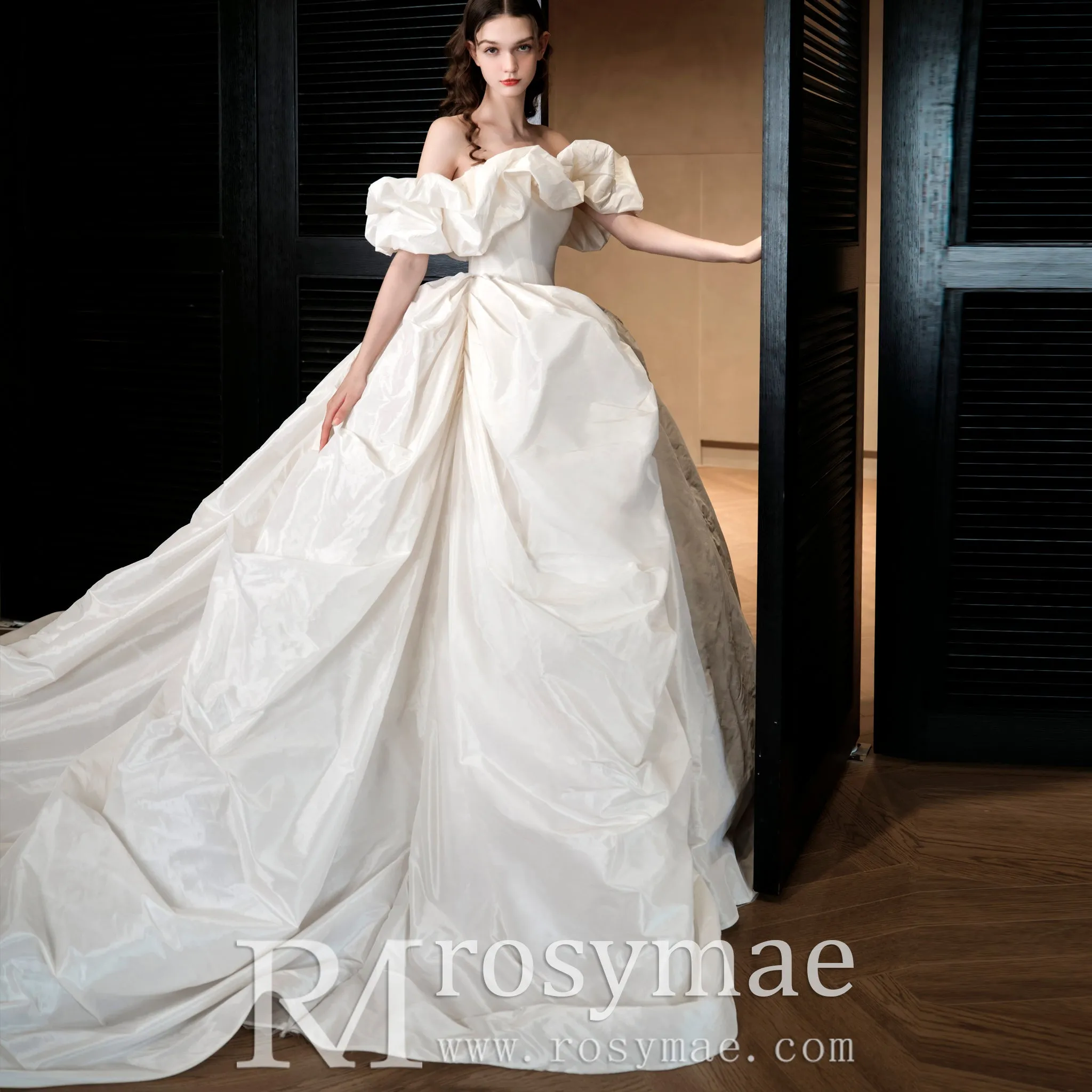Ball Gown Boho Wedding Dresses & Gowns Bohemian Style