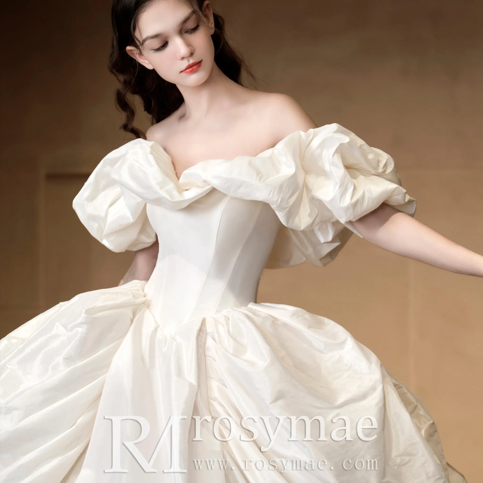 Ball Gown Boho Wedding Dresses & Gowns Bohemian Style