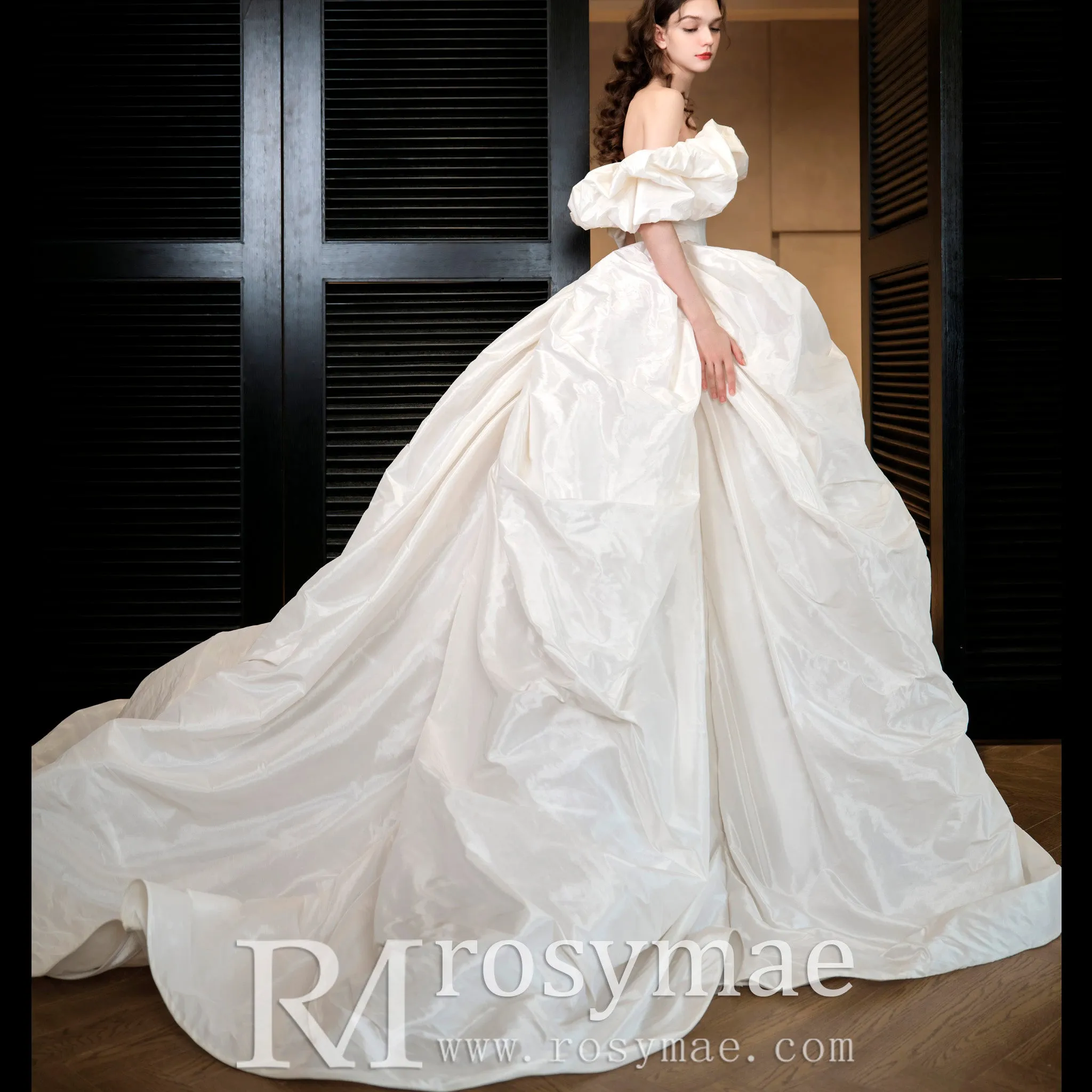 Ball Gown Boho Wedding Dresses & Gowns Bohemian Style