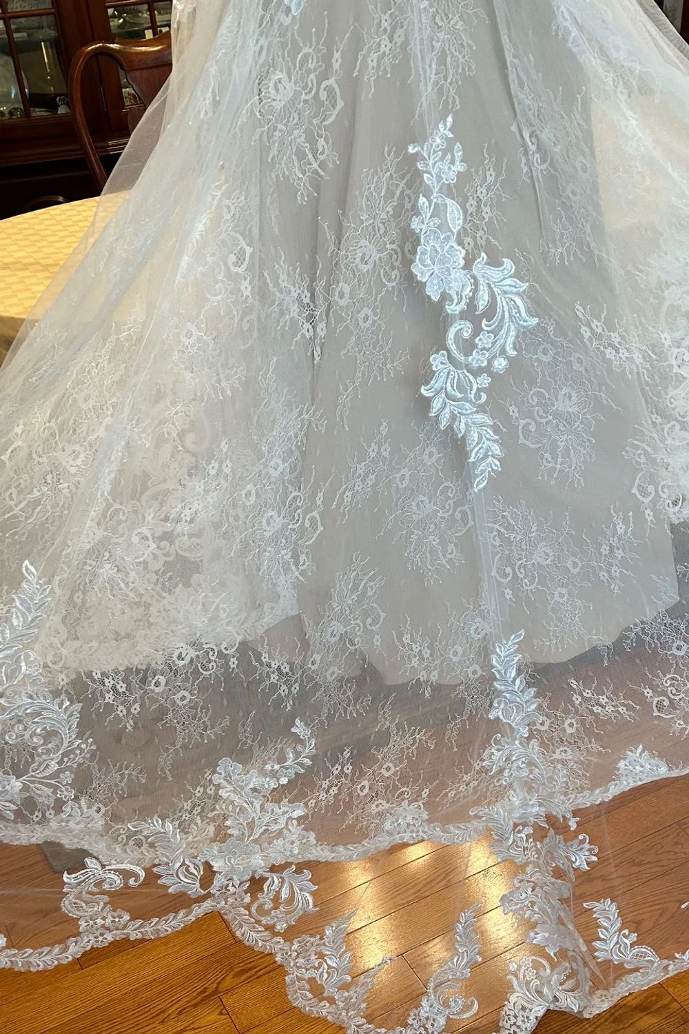 Cameron with Veil
