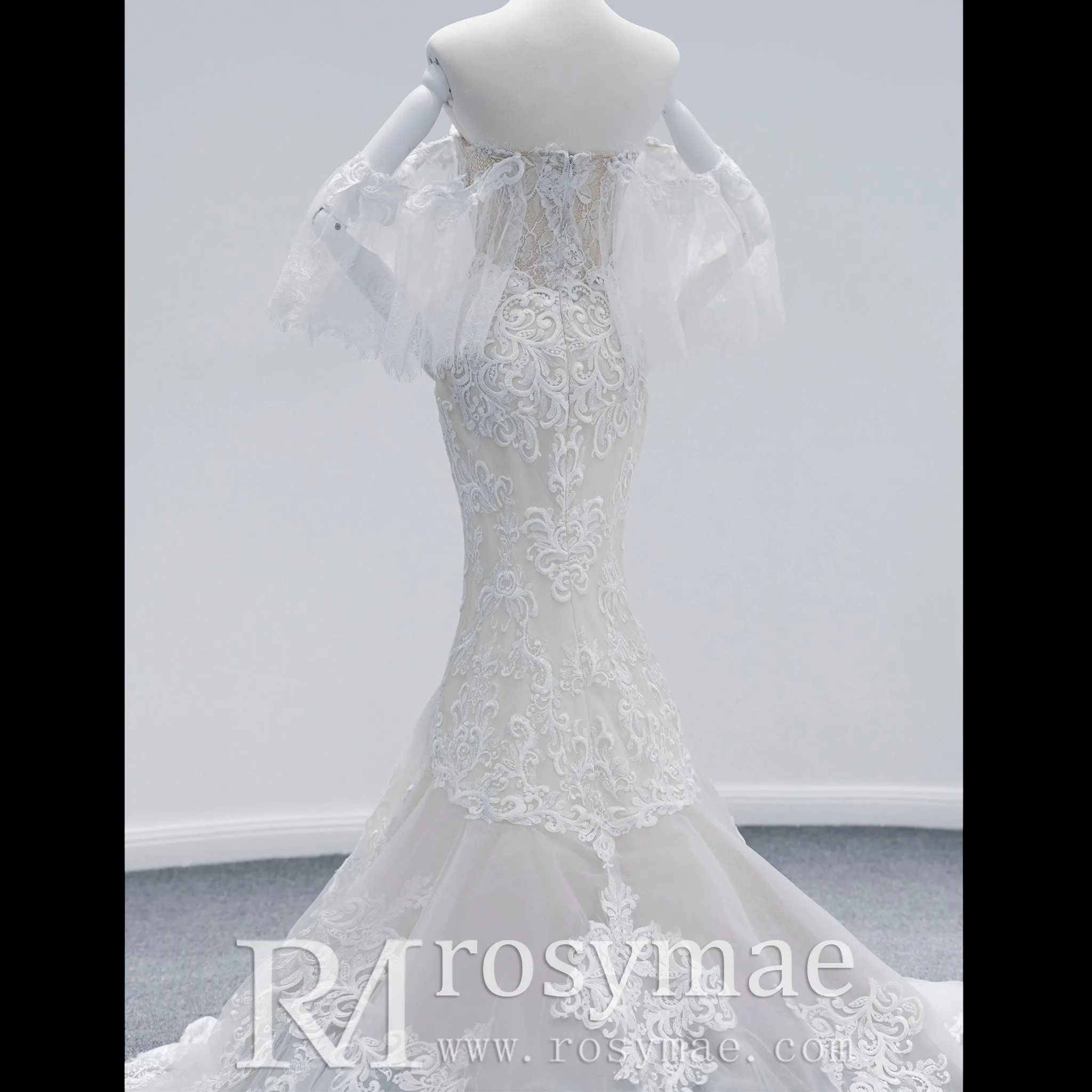 Chapel Train Mermaid Lace Wedding Dress with Sleeves