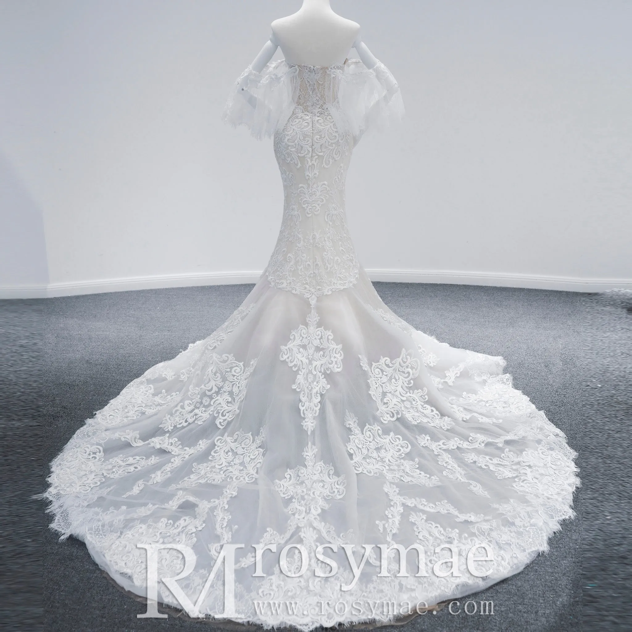 Chapel Train Mermaid Lace Wedding Dress with Sleeves