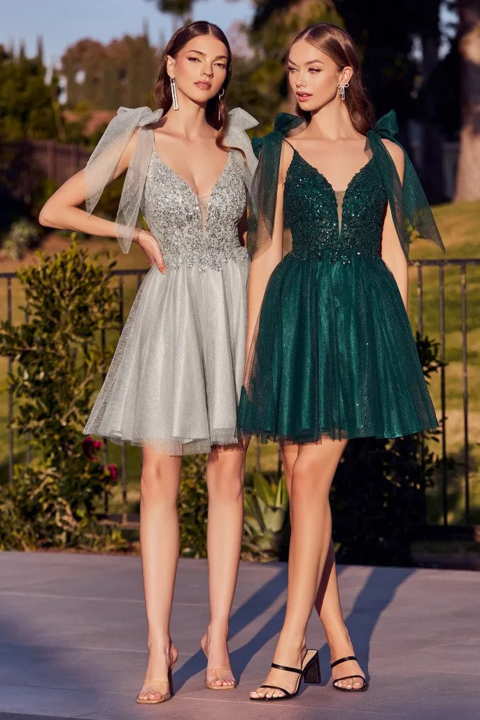 Cinderella Evening Dress CD0174