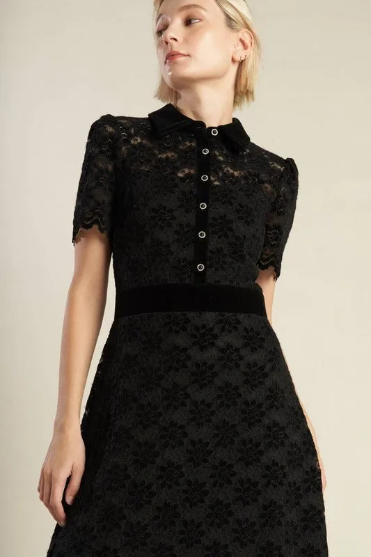 Contrast Velvet Collar and Waist Band