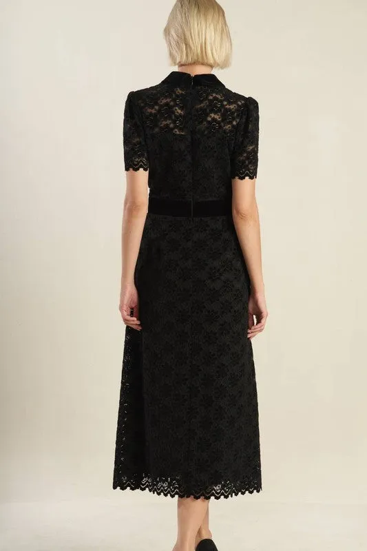 Contrast Velvet Collar and Waist Band