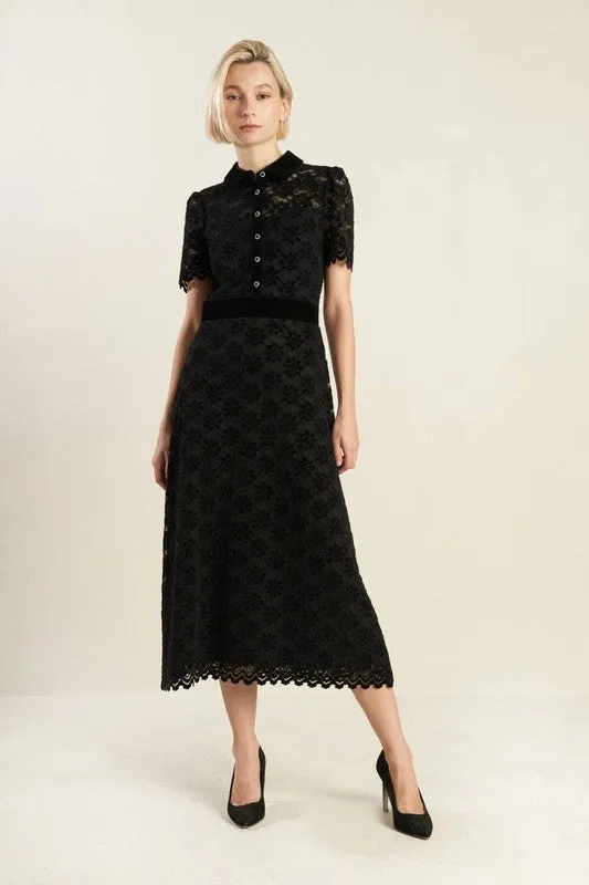Contrast Velvet Collar and Waist Band
