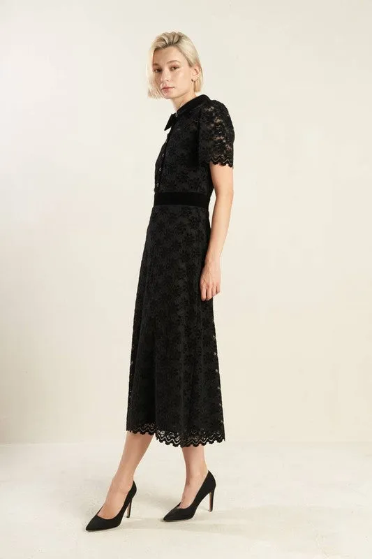 Contrast Velvet Collar and Waist Band