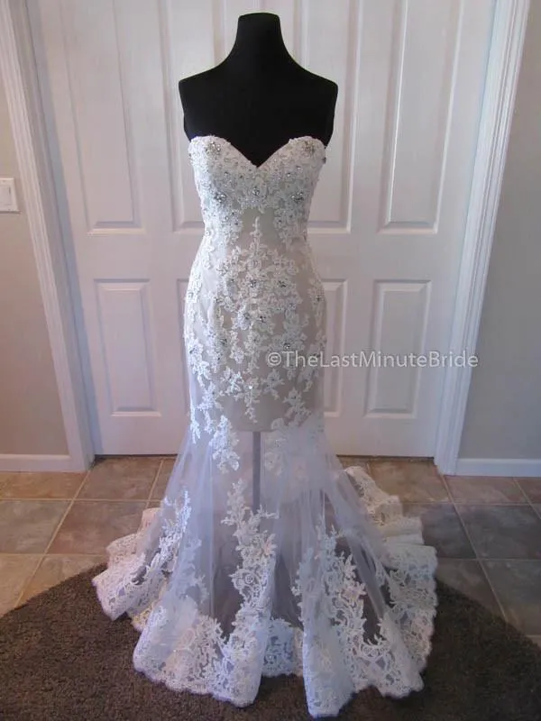 Eleni Elias P542 Size 10