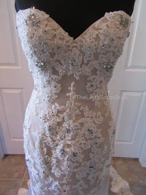 Eleni Elias P542 Size 10