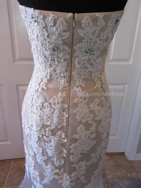 Eleni Elias P542 Size 10