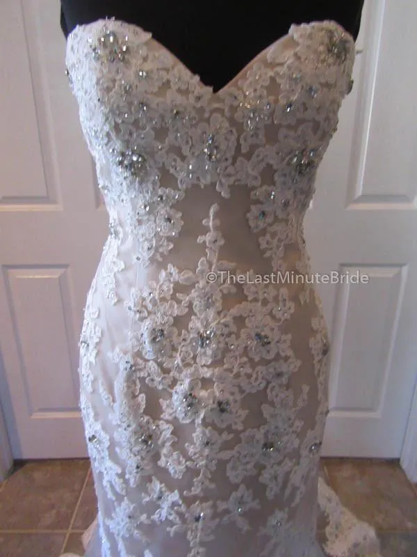 Eleni Elias P542 Size 10