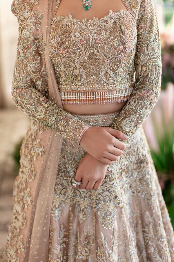 Embellished Silver Lehenga Choli Pakistani Wedding Dresses