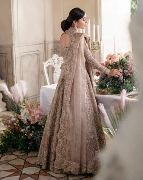 Embellished Silver Lehenga Choli Pakistani Wedding Dresses