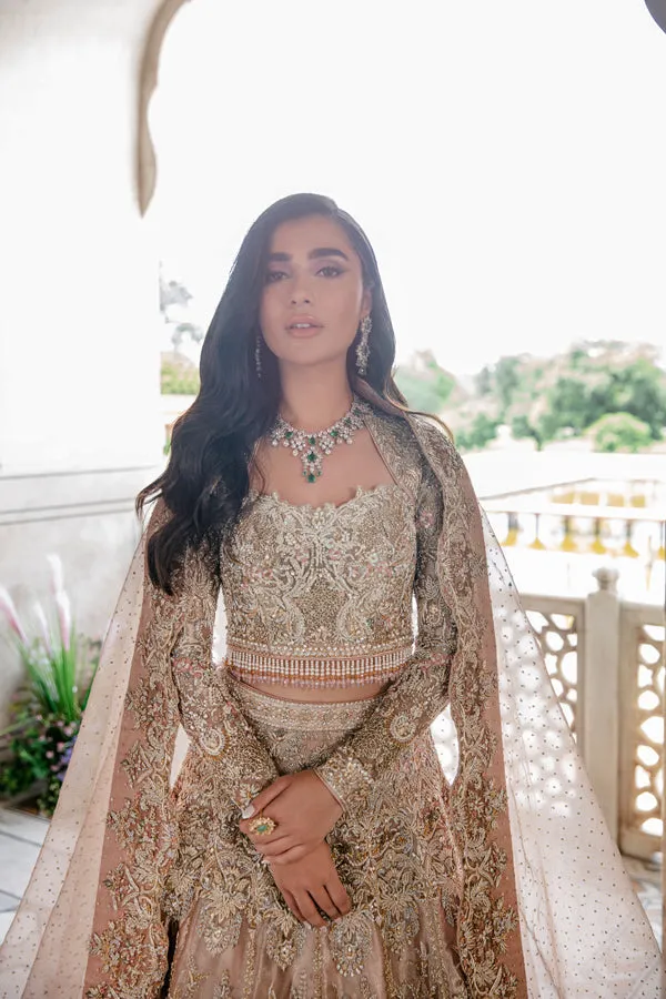 Embellished Silver Lehenga Choli Pakistani Wedding Dresses