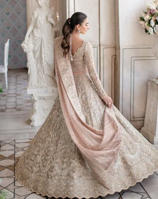 Embellished Silver Lehenga Choli Pakistani Wedding Dresses