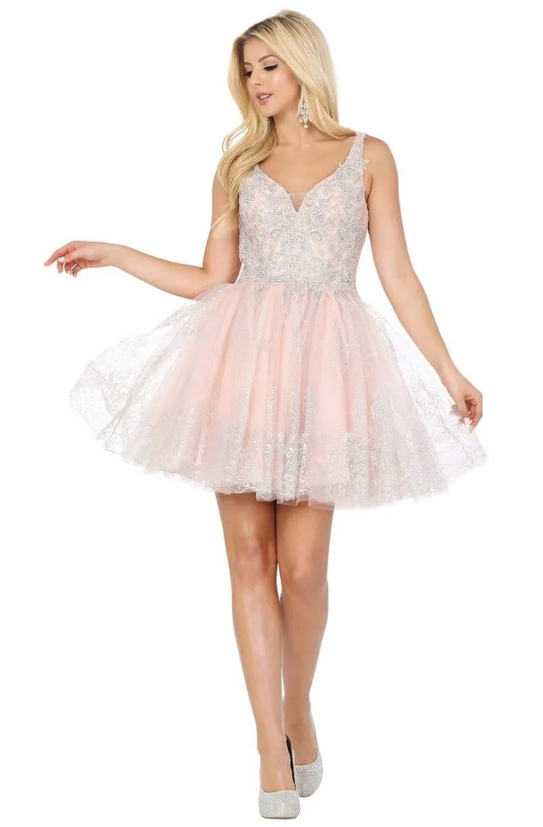 Embroidered Lace Applique Short Dress