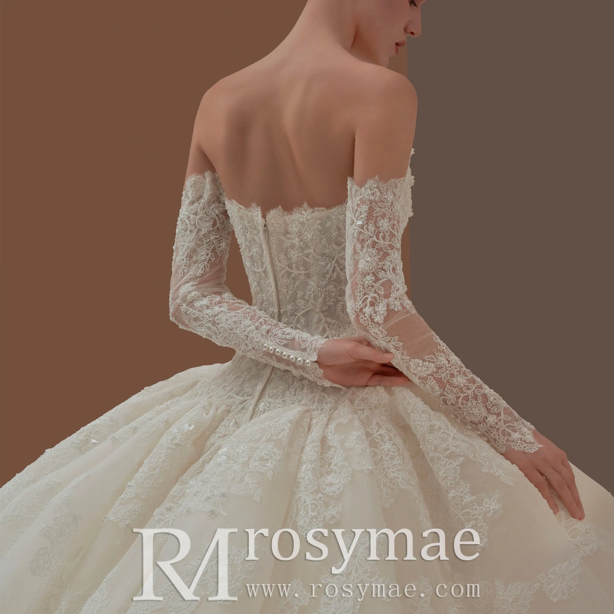 Floral Lace Bridal Gowns & Ball Gown Wedding Dresses