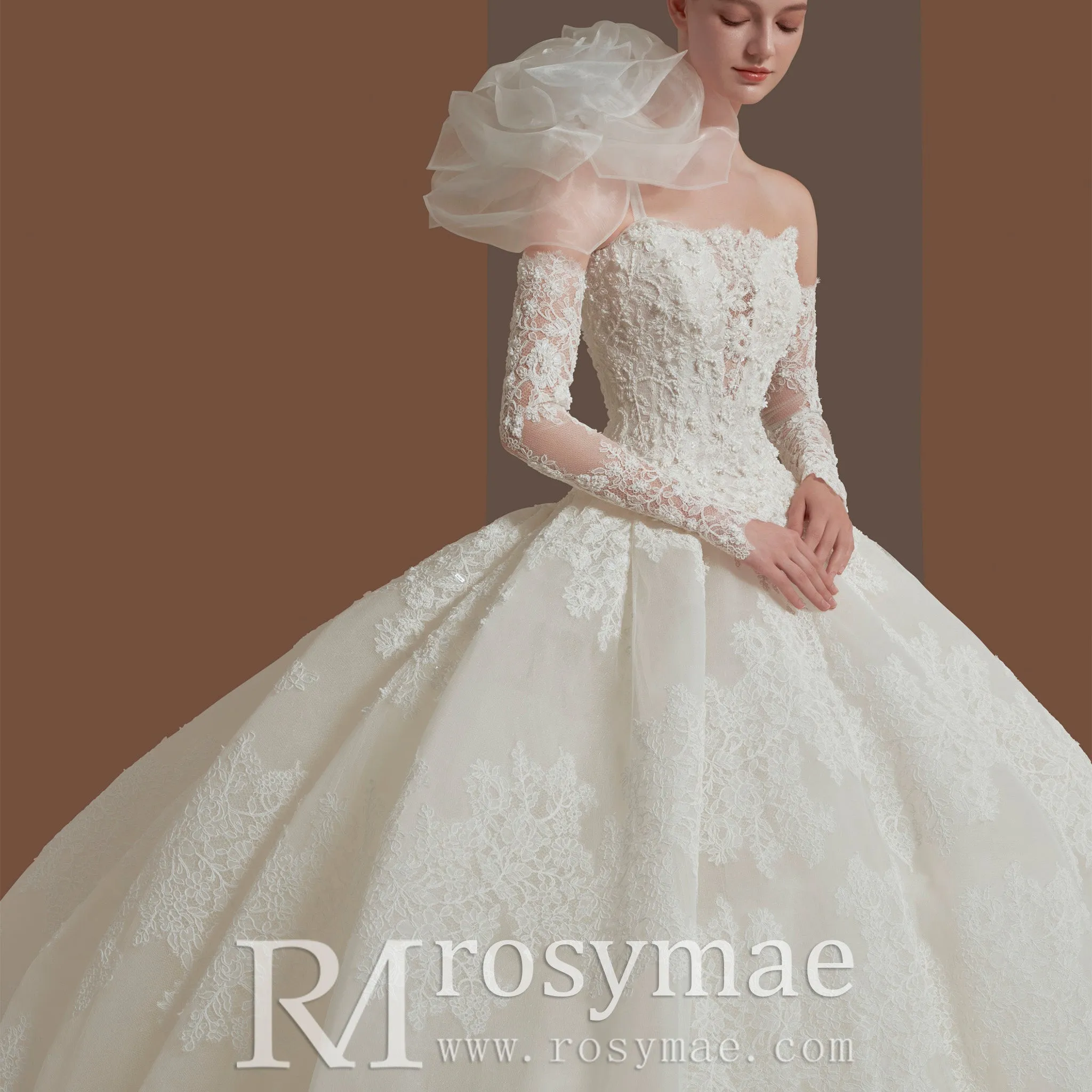 Floral Lace Bridal Gowns & Ball Gown Wedding Dresses