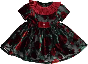 Girl Red and Black Tulle Velvet Dress