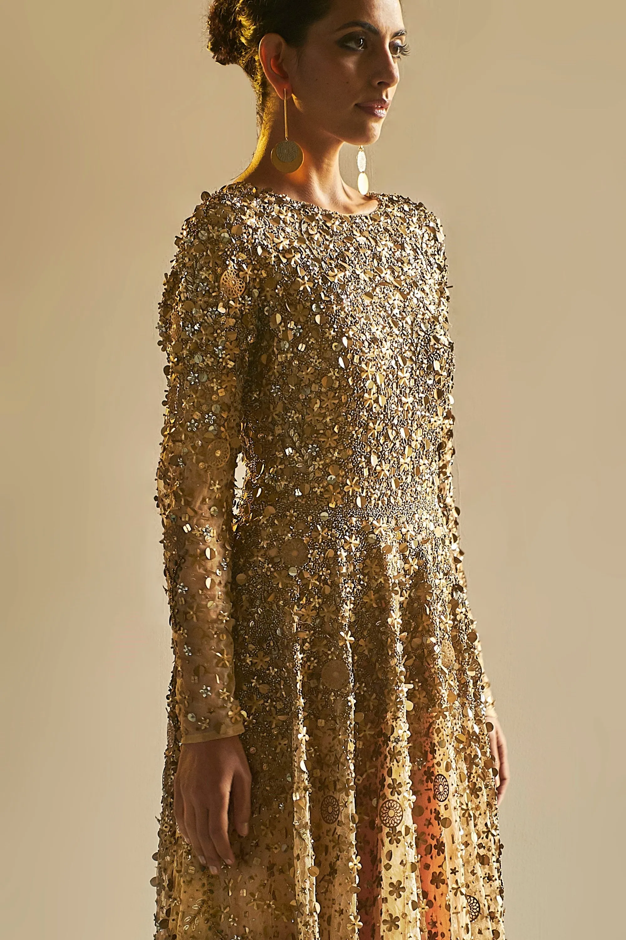 Golden Embroidered Tulle Gown