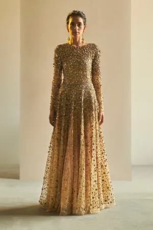 Golden Embroidered Tulle Gown