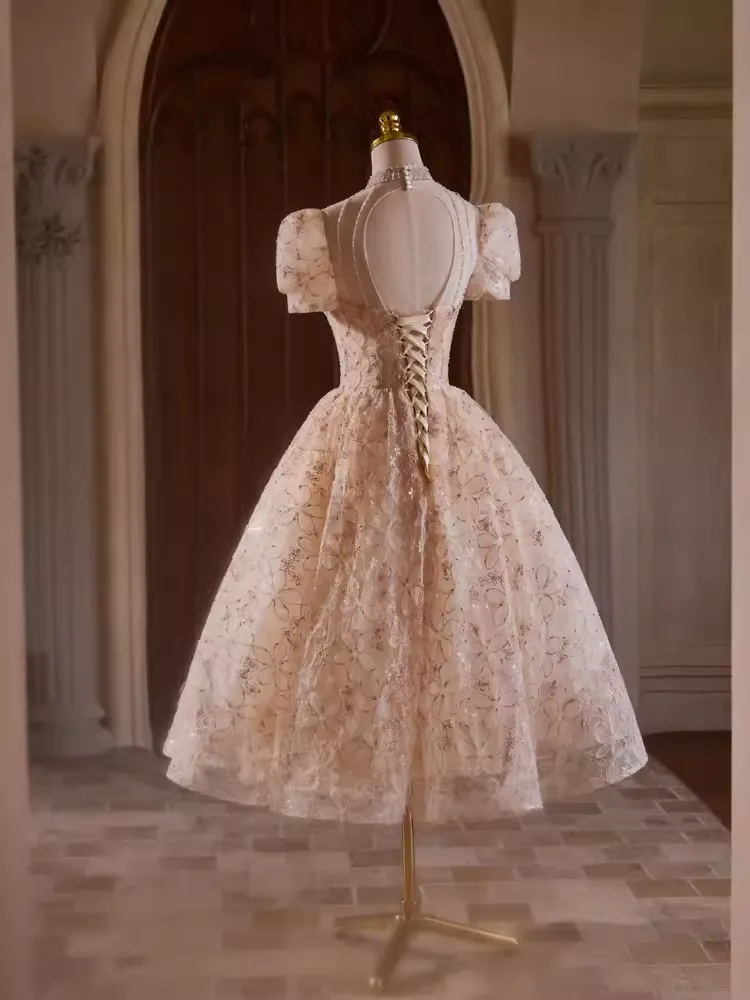JazzHer Elegant Ball Gown High Neckline Pink Tulle Party Dress Lace Homecoming Dresses (PRE-ORDER)