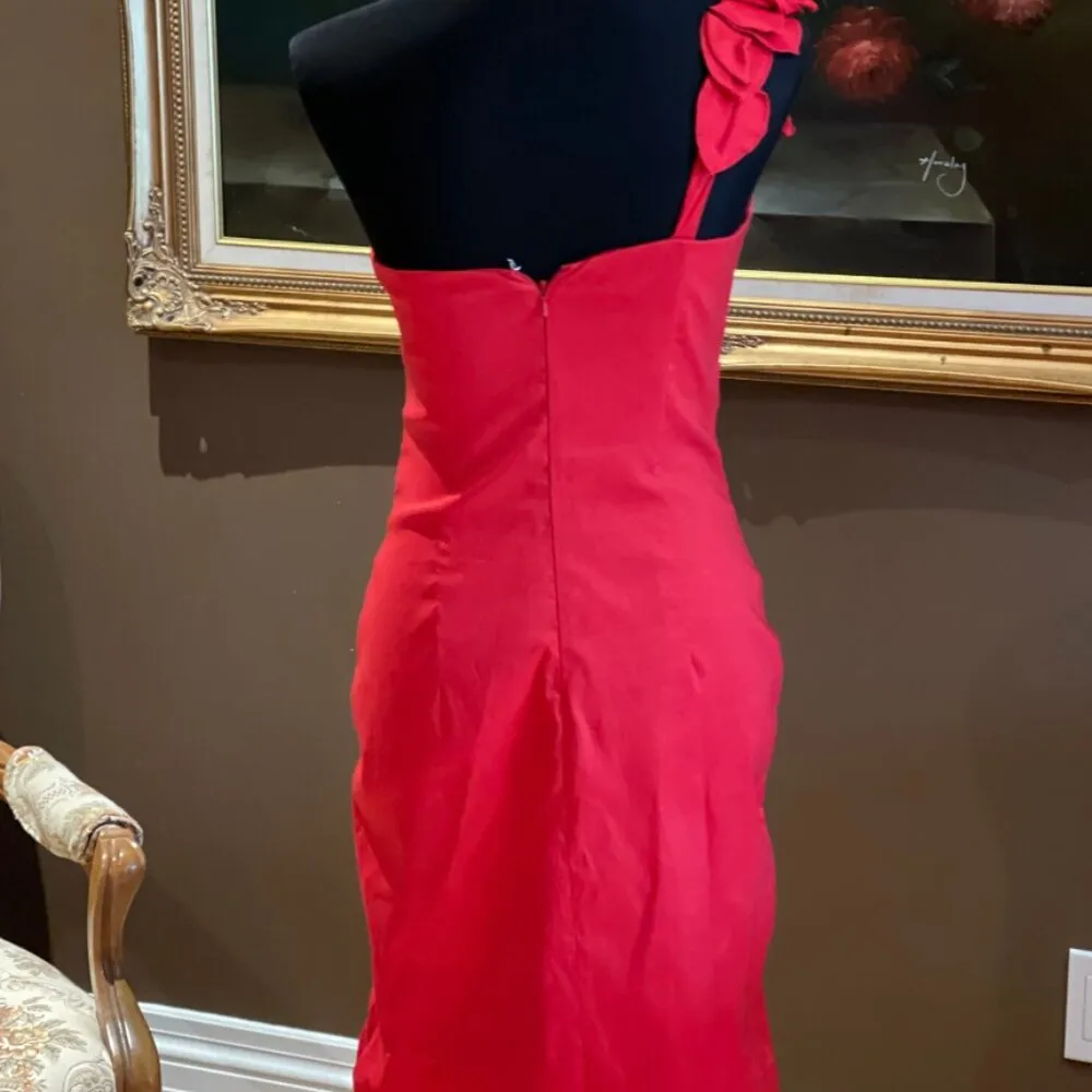 Jessica McClintock dress