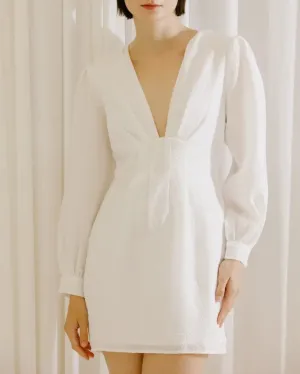 Long Sleeve Plunge Neck Floral Mini Dress