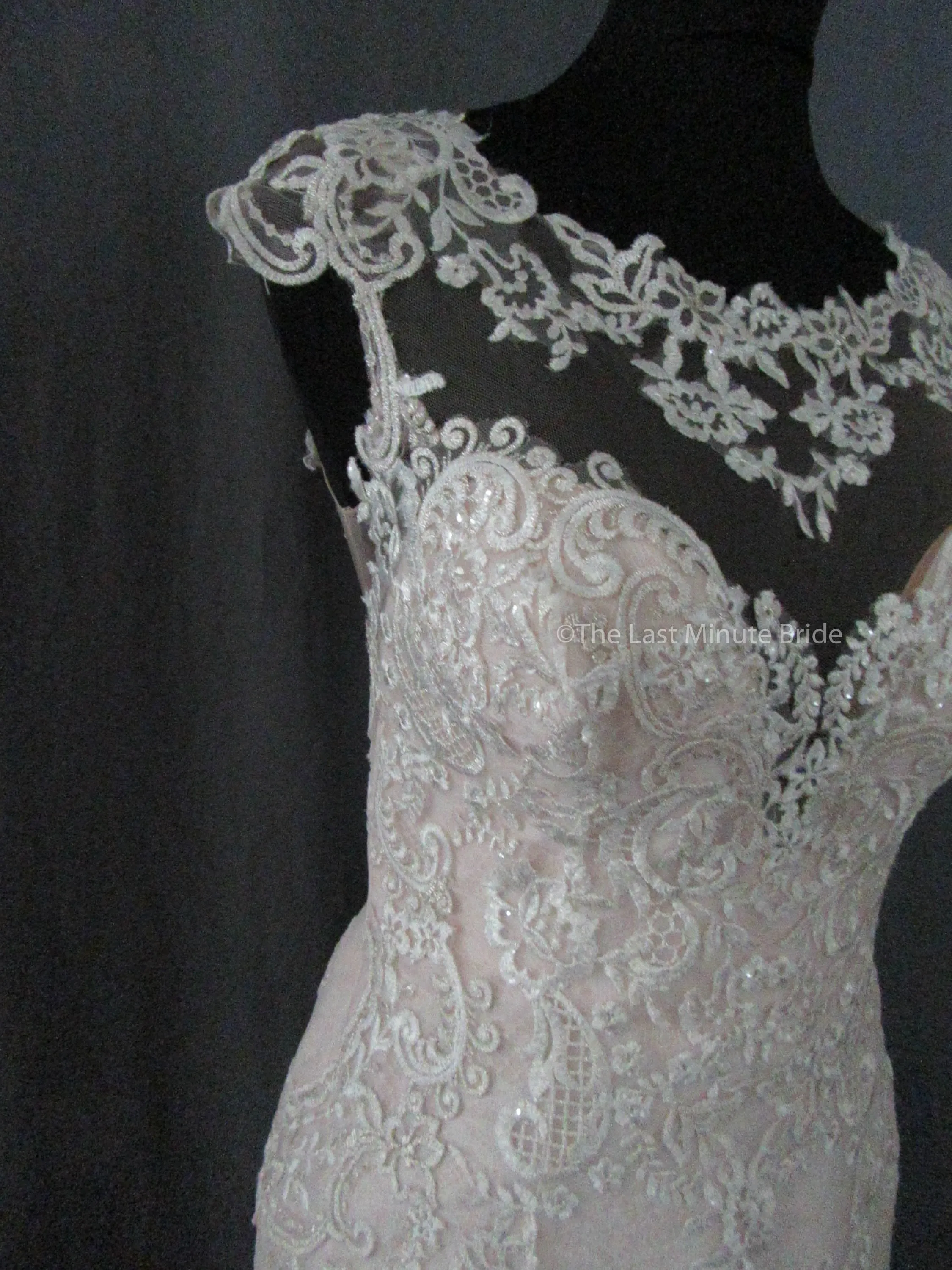 Maggie Sottero Style Eileen 9MW852