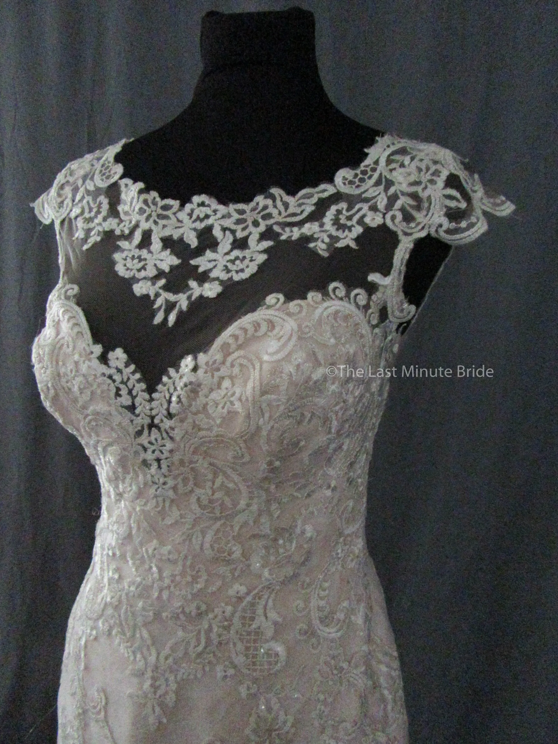 Maggie Sottero Style Eileen 9MW852