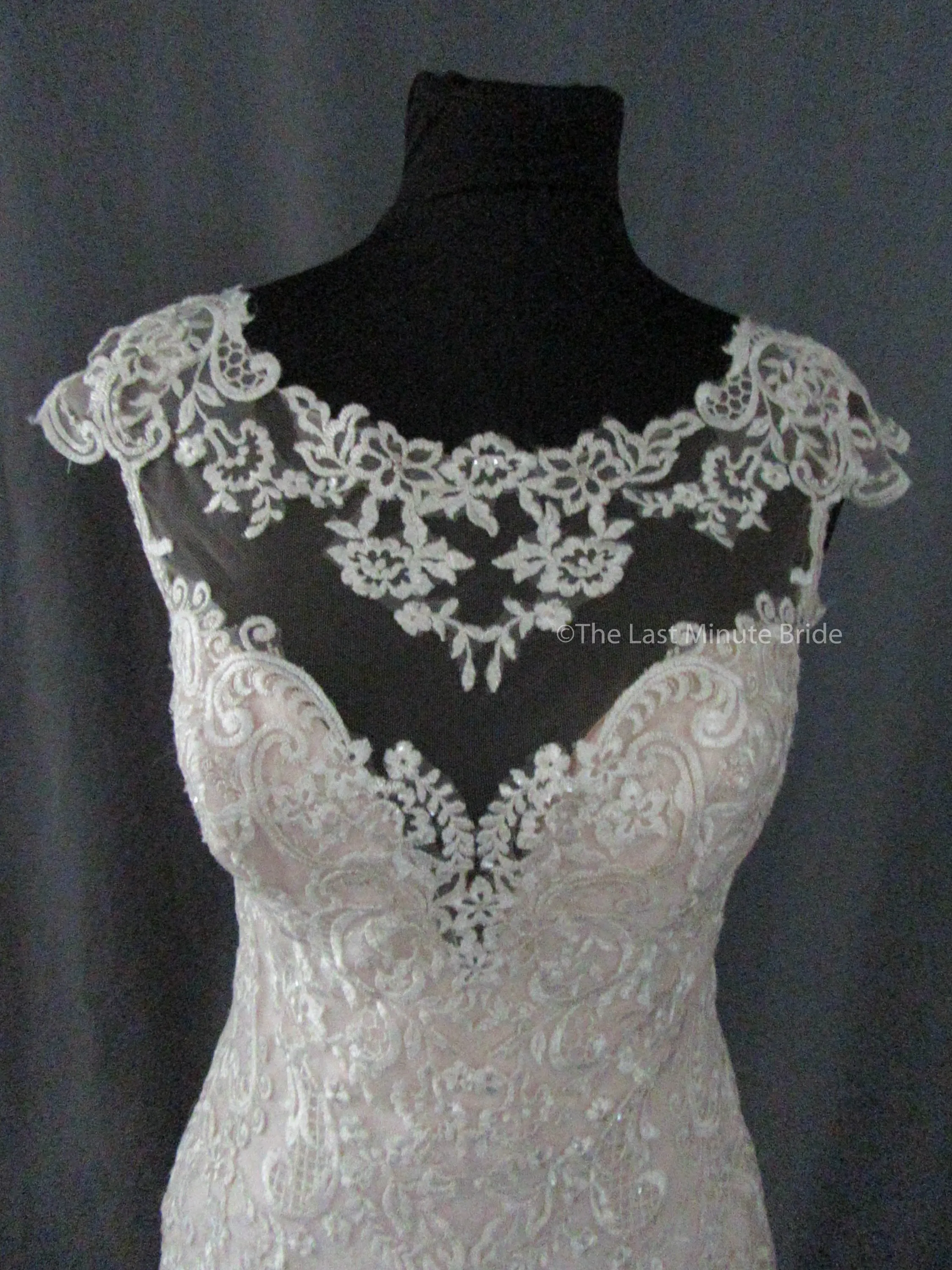 Maggie Sottero Style Eileen 9MW852