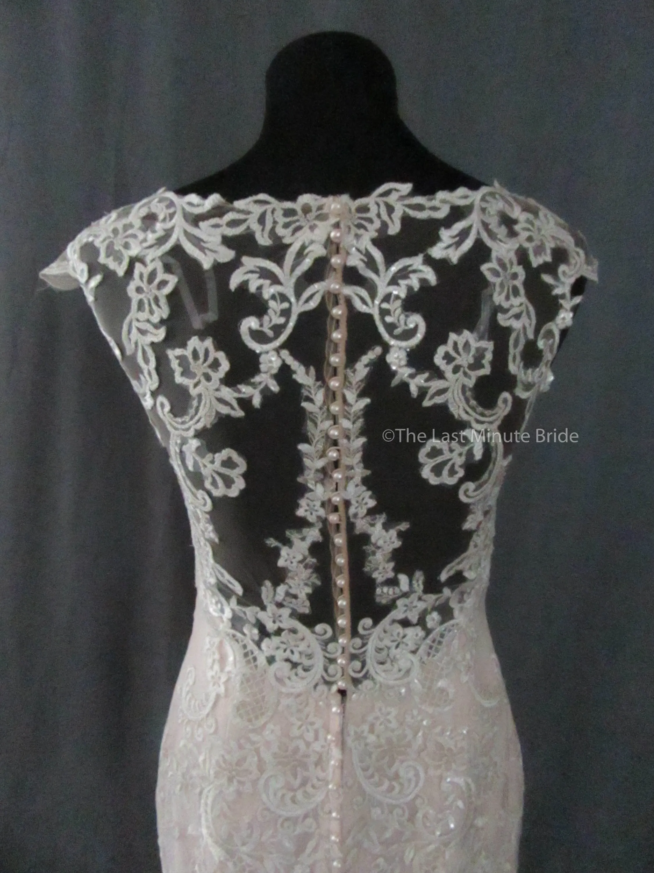 Maggie Sottero Style Eileen 9MW852