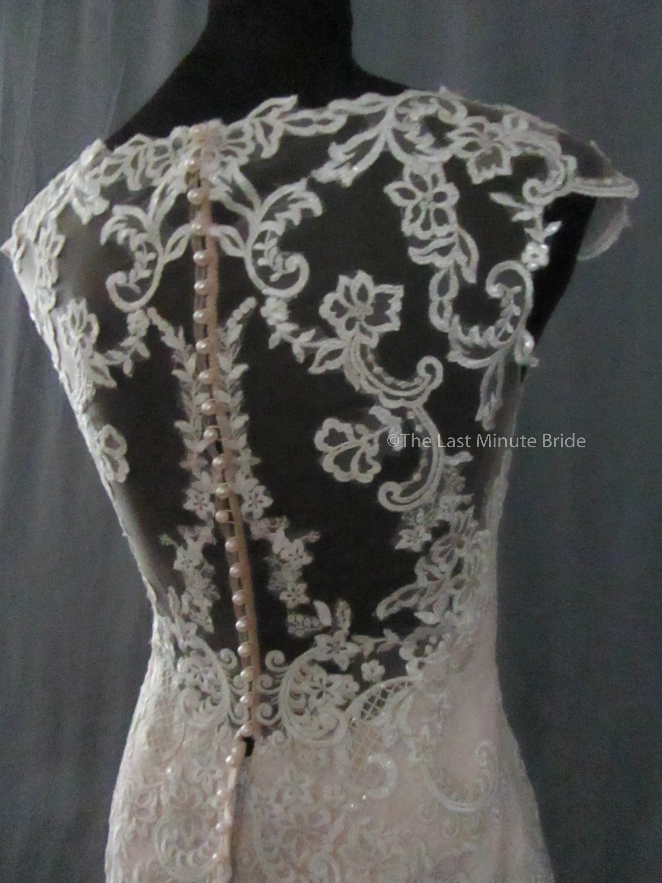 Maggie Sottero Style Eileen 9MW852