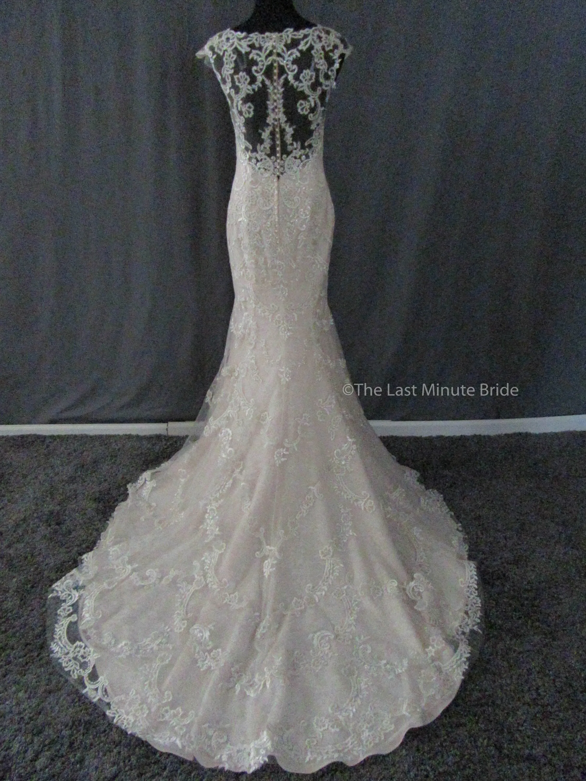 Maggie Sottero Style Eileen 9MW852