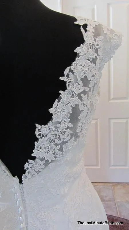 Mori Lee 1901