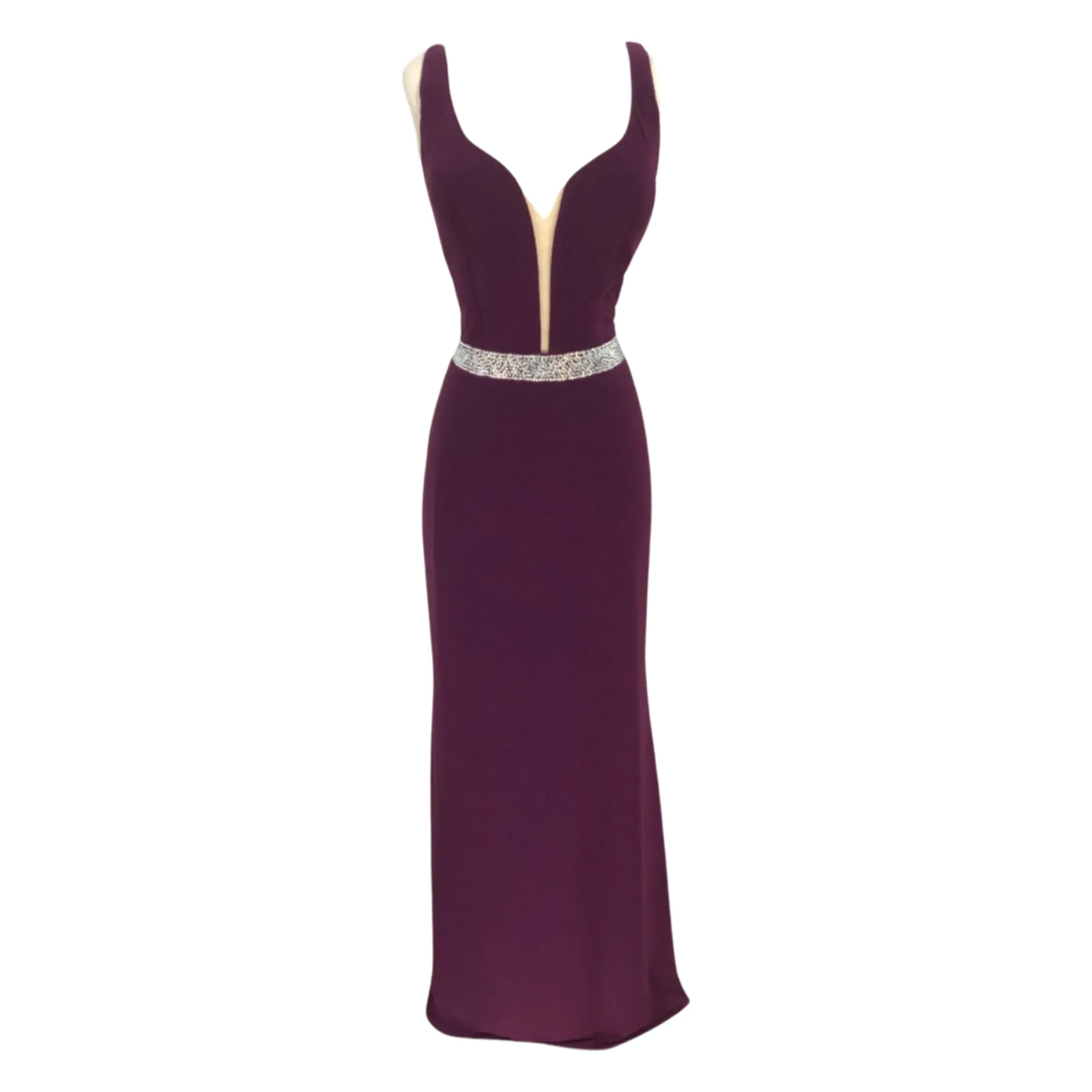 NINA CANACCI Plum Plunging V Sheer Long Dress Size 10 NWT