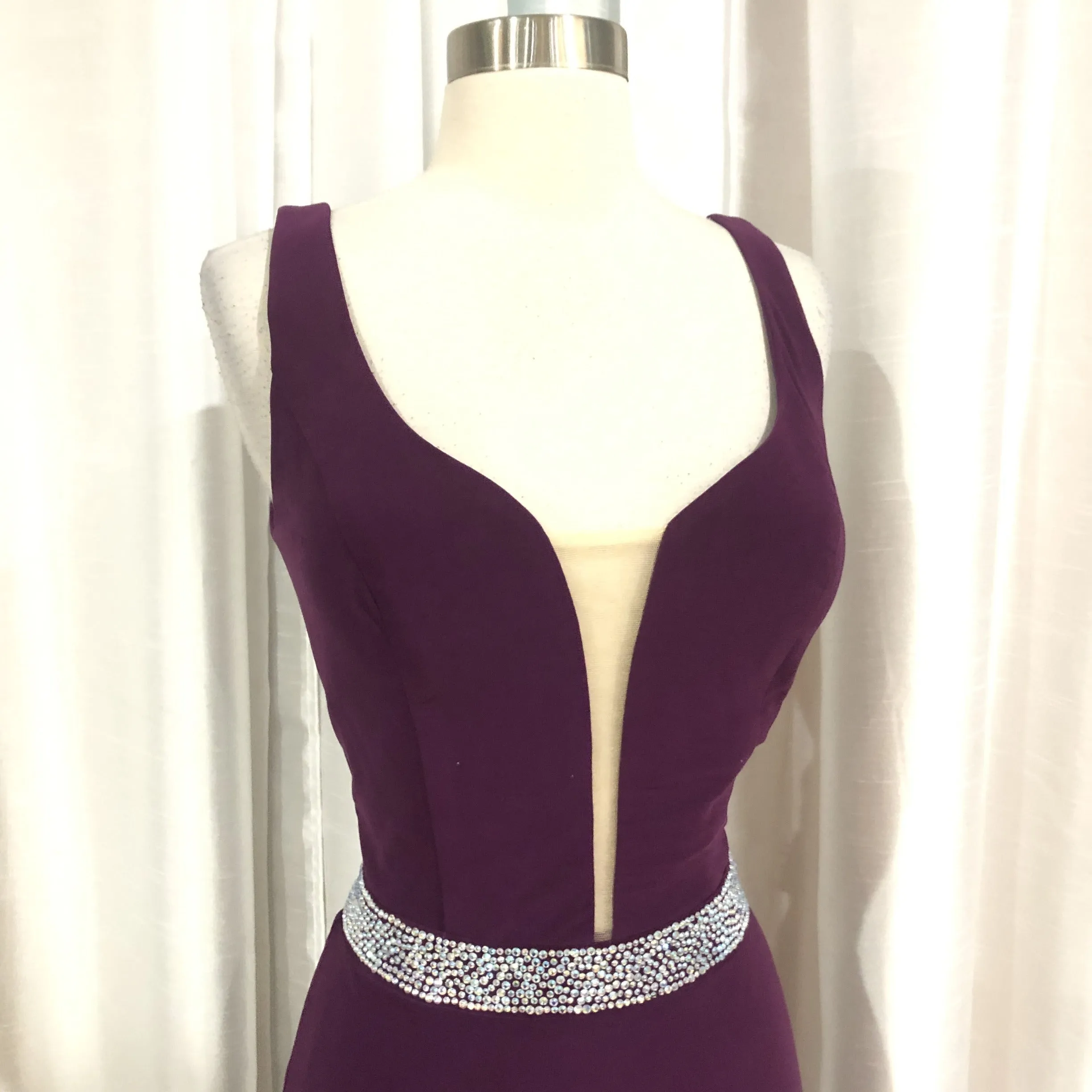 NINA CANACCI Plum Plunging V Sheer Long Dress Size 10 NWT