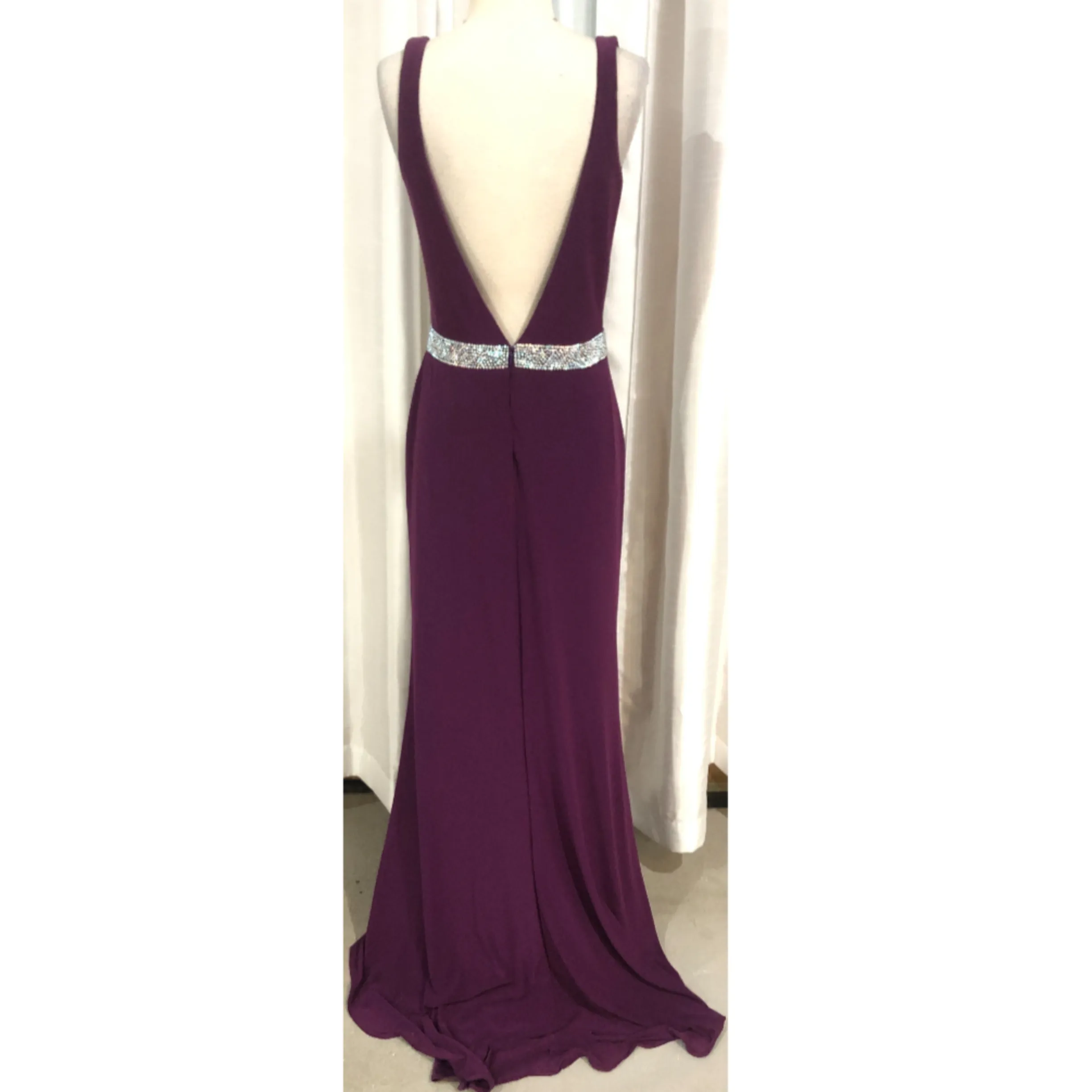 NINA CANACCI Plum Plunging V Sheer Long Dress Size 10 NWT