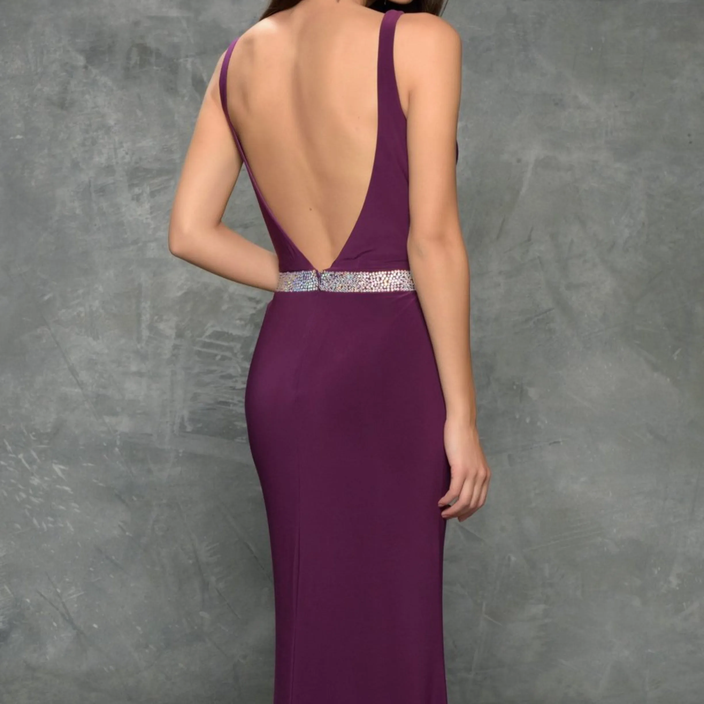 NINA CANACCI Plum Plunging V Sheer Long Dress Size 10 NWT