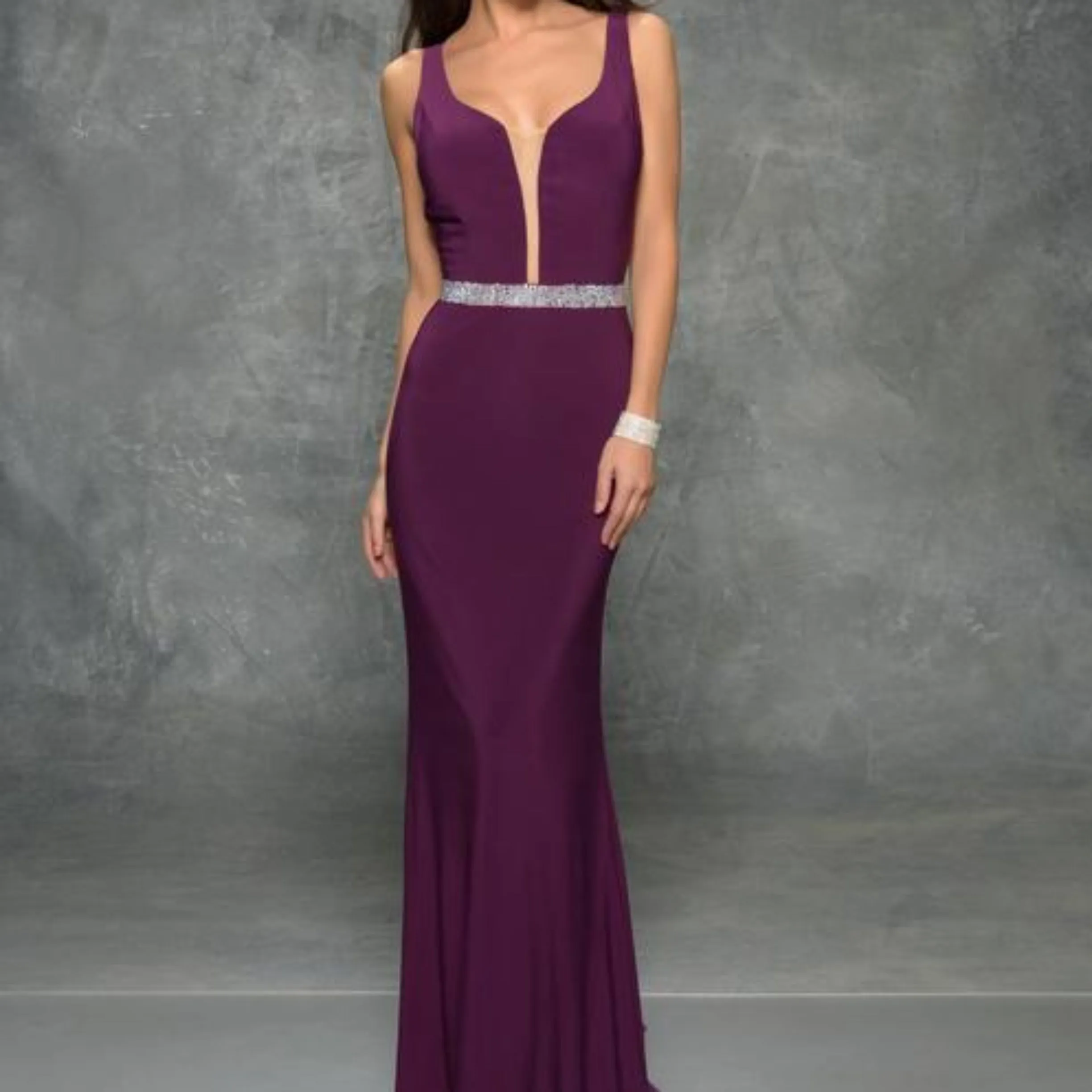 NINA CANACCI Plum Plunging V Sheer Long Dress Size 10 NWT