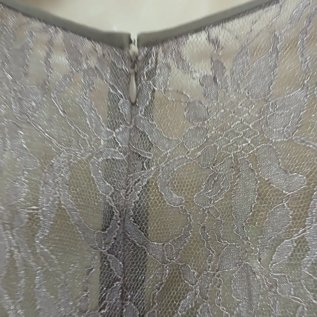 NWOT Anne Klein metallic tan Lace midi dress size 12