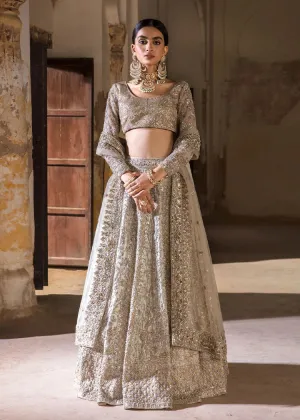 Pakistani Bridal Dress in choli  Lehenga Style